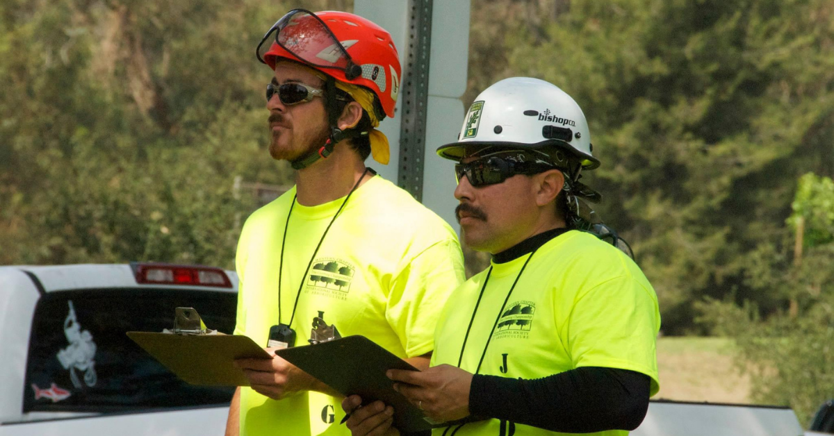 Arborist Consultation & Reports in La Verne, CA