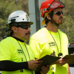Arborist Consultation & Reports