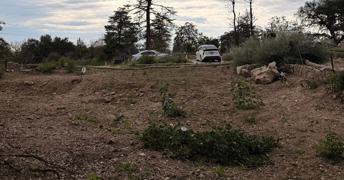 Land Clearing in La Verne, CA