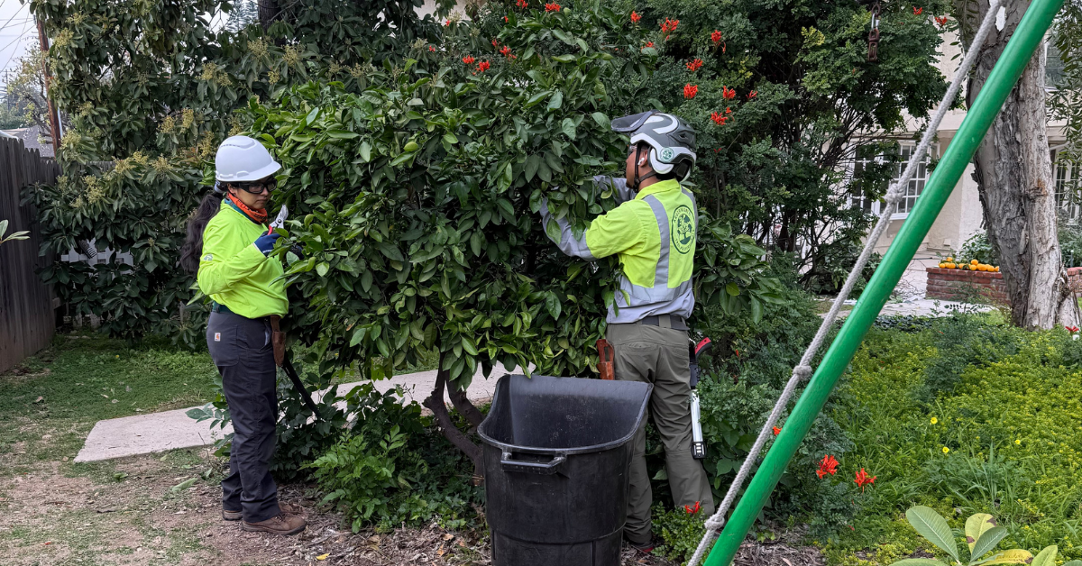 Pesticide Application in La Verne, CA