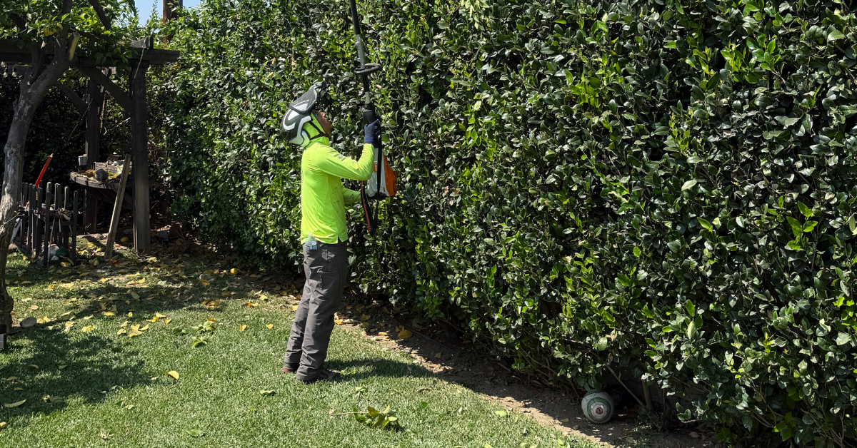 Shrub Removal & Trimming in La Verne, CA