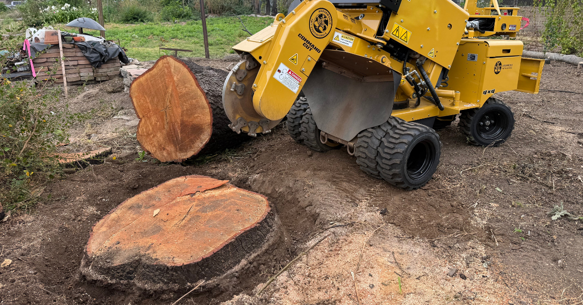 Stump Removal & Grinding in La Verne, CA