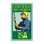 certified tree worker