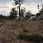 Land Clearing