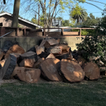 Lot Clearing