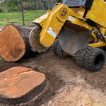 Stump Removal & Grinding